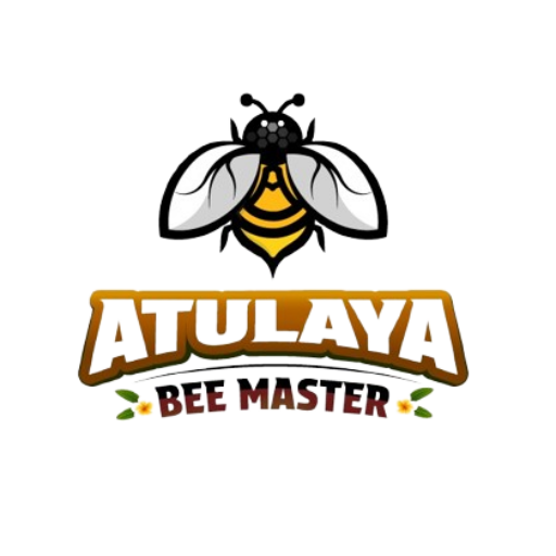 whatsapp image 2026 02 20 at 06.46.18 removebg preview