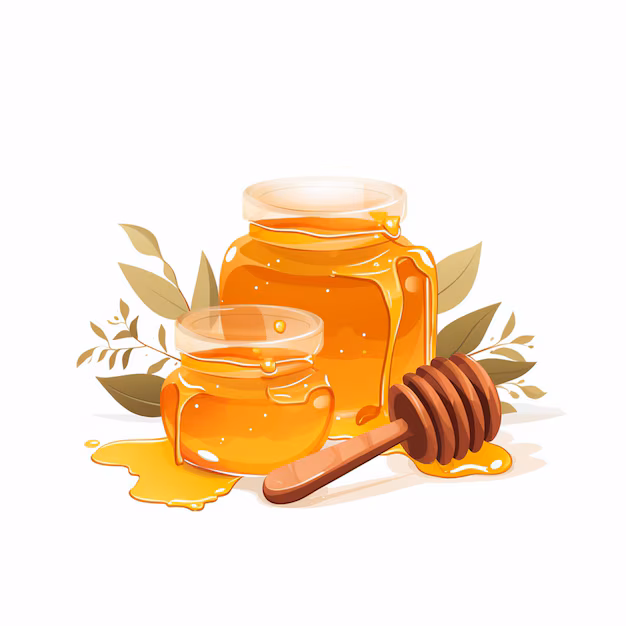 honey vector food bee organic healthy sweet illustration liquid honeycomb natural nature 1013341 14342